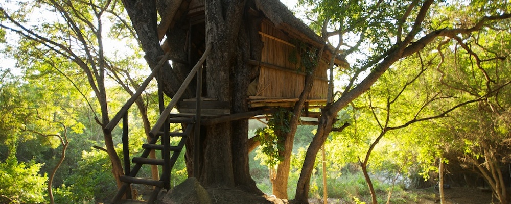 Forest Hut_cropped